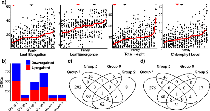 Transcriptome Analysis of the Heritable Salt Tolerance of Prairie Cordgrass (Spartina pectinata Link)