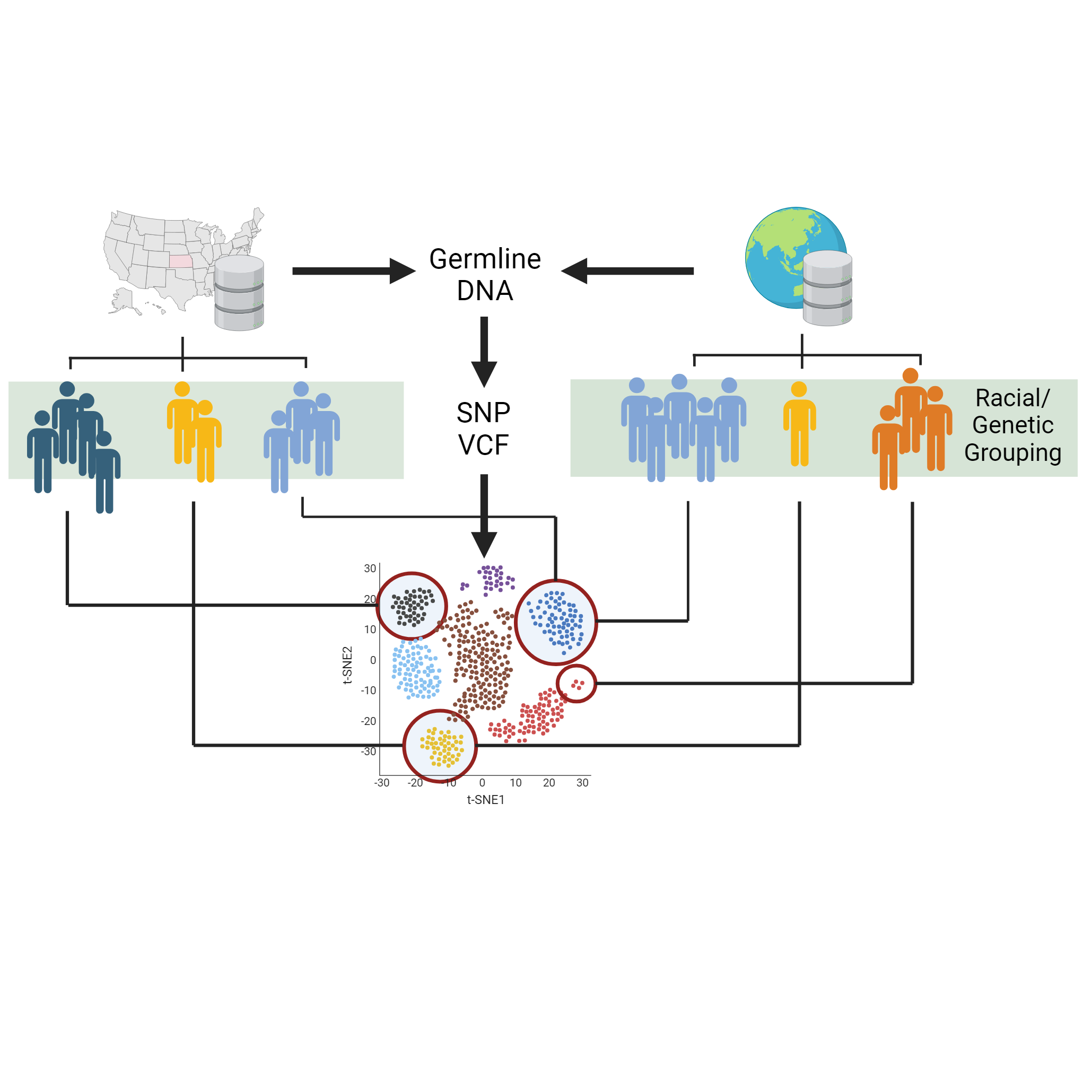 Exploring environmental effects on cancer progression through international sequencing data
